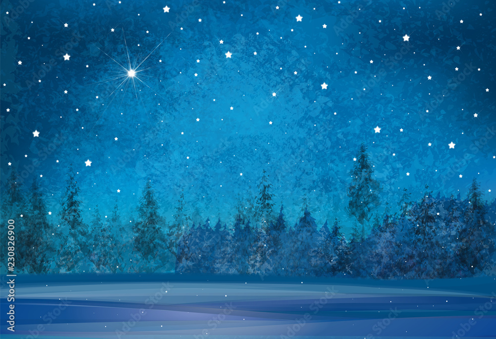 矢量冬季仙境背景。星空和森林背景。