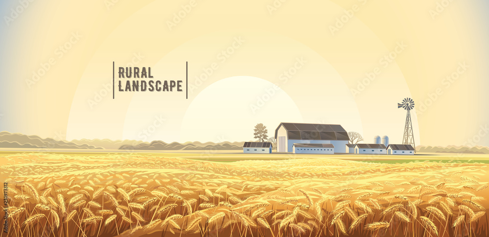 前景是麦田，背面是农场的秋季乡村景观。
