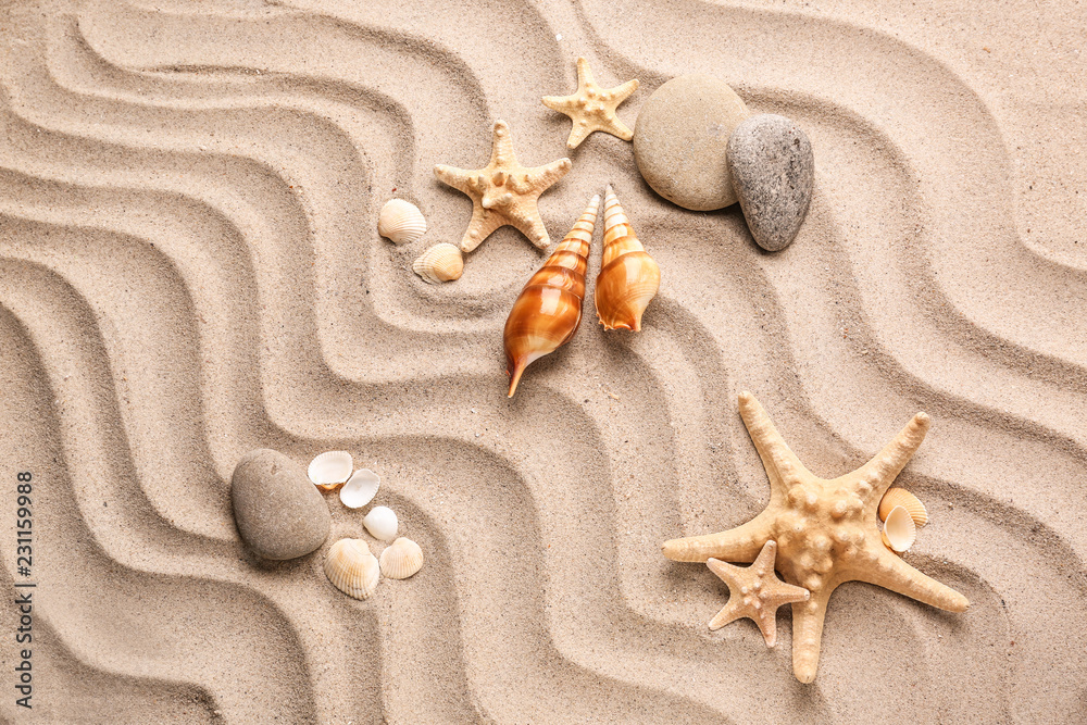 不同的贝壳，沙子上有海星和石头