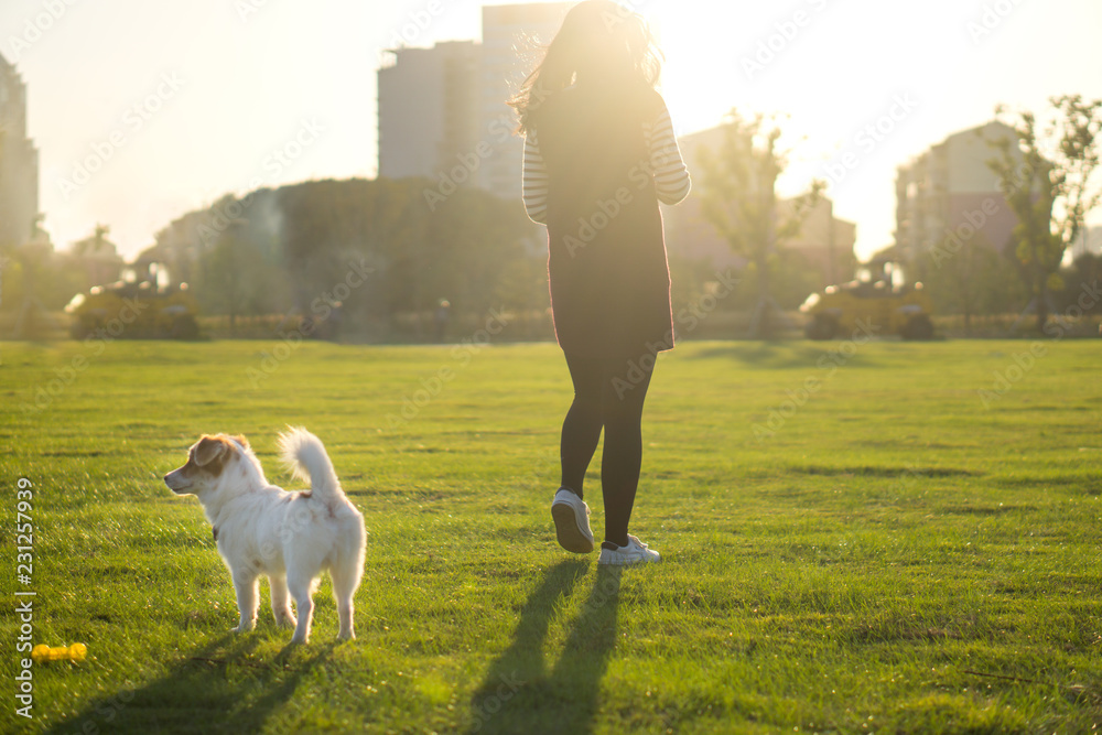 狗和女主人，公园背景