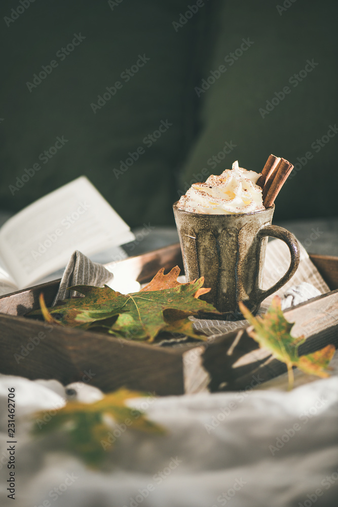 Autumn or Winter hot chocolate or coffee with whipped cream and cinnamon in rustic mug on tray in be