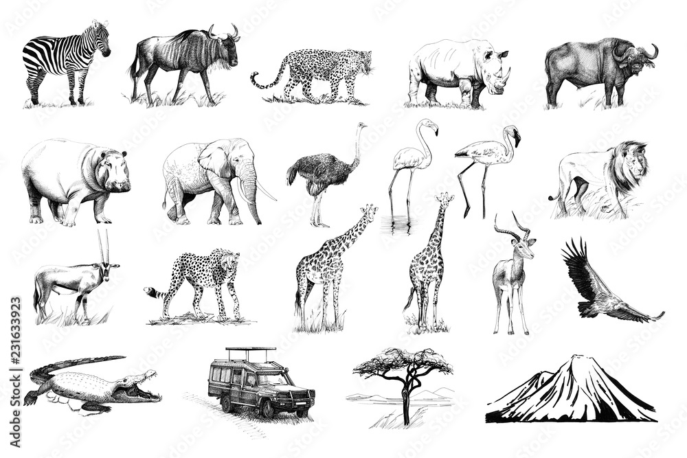 许多非洲动物和汽车、树、山手绘插图集