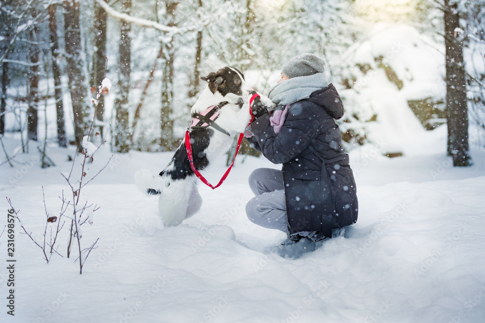 女人在雪地森林里和狗玩耍，享受天气。奔跑跳跃的快乐宠物，女孩la