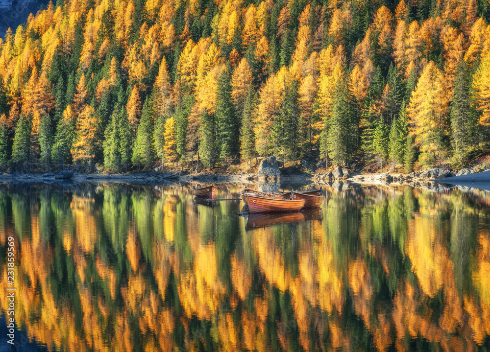 意大利多洛米蒂秋季日出时布雷斯湖中的木船。秋天森林的景观，mo