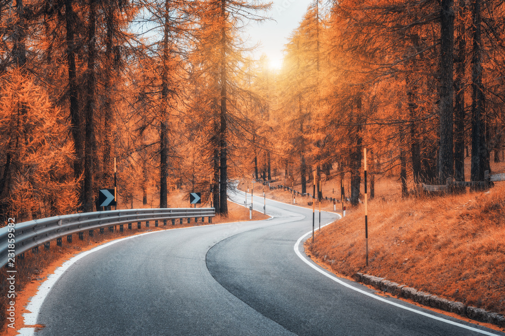 Road in autumn forest at sunset. Beautiful winding mountain road, trees with red foliage and orange 