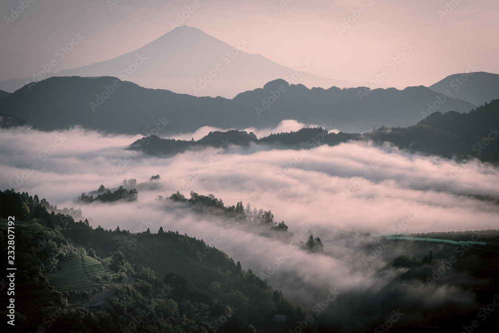 富士山和清晨的薄雾之海