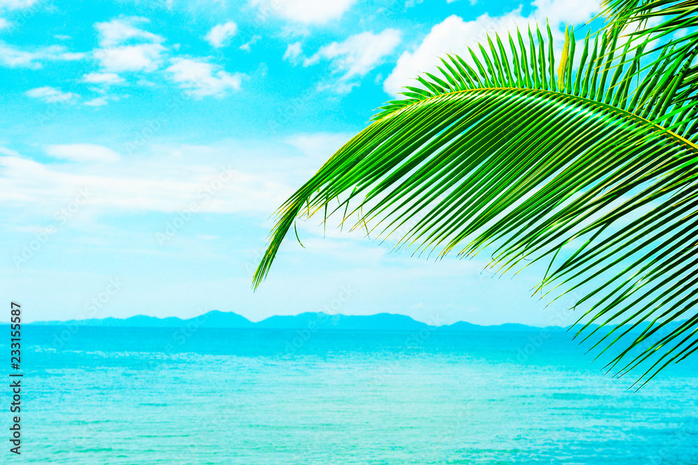 美丽的阳光海滩。美丽的热带海滩，棕榈树环绕。度假概念