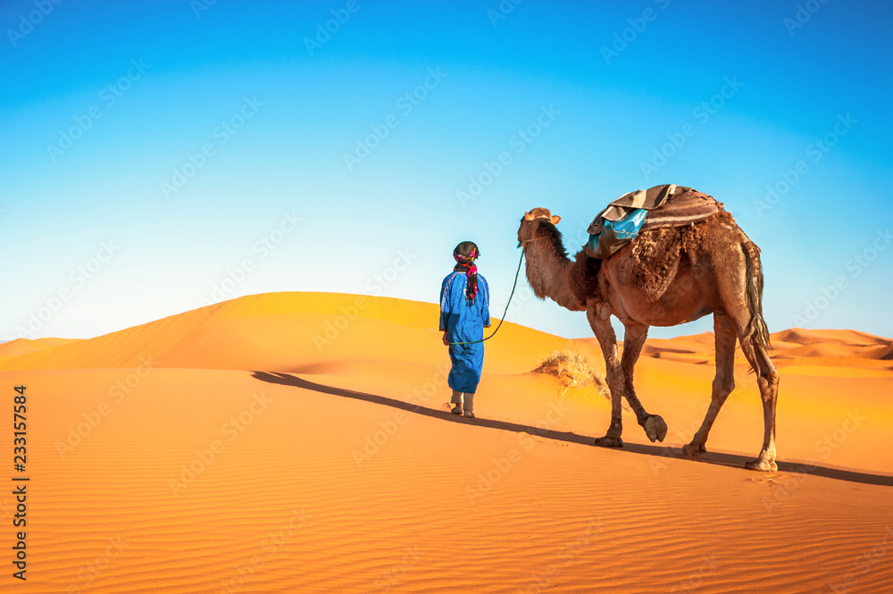 骆驼商队穿过撒哈拉沙漠的沙丘。摩洛哥，非洲。美丽的沙丘