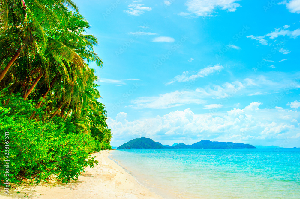 美丽的海滩。美丽的热带海滩，棕榈树环绕。度假和度假概念。热带