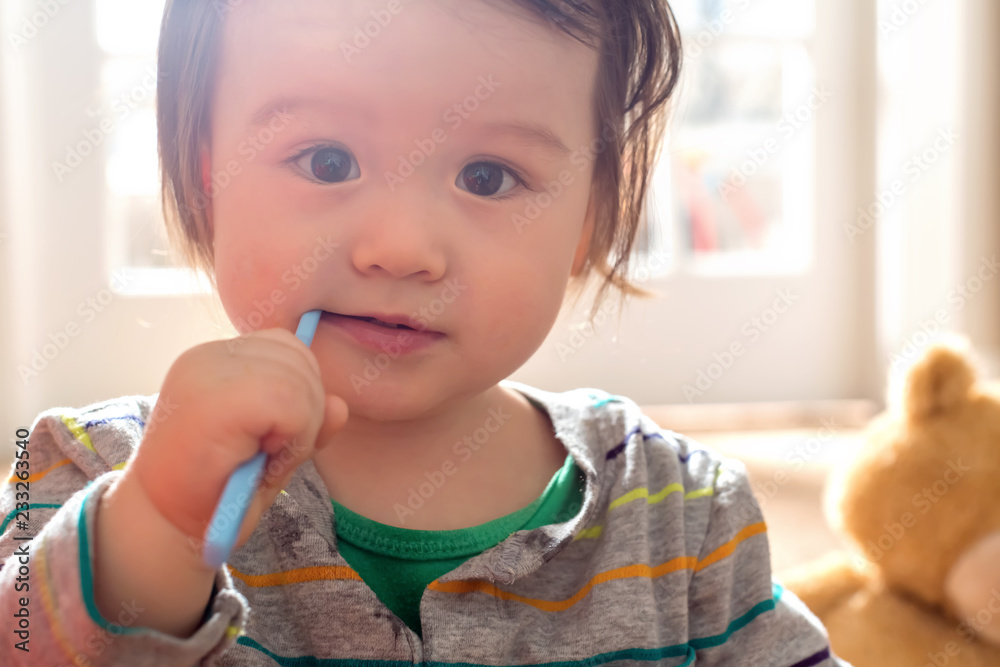 蹒跚学步的男孩用牙刷刷牙