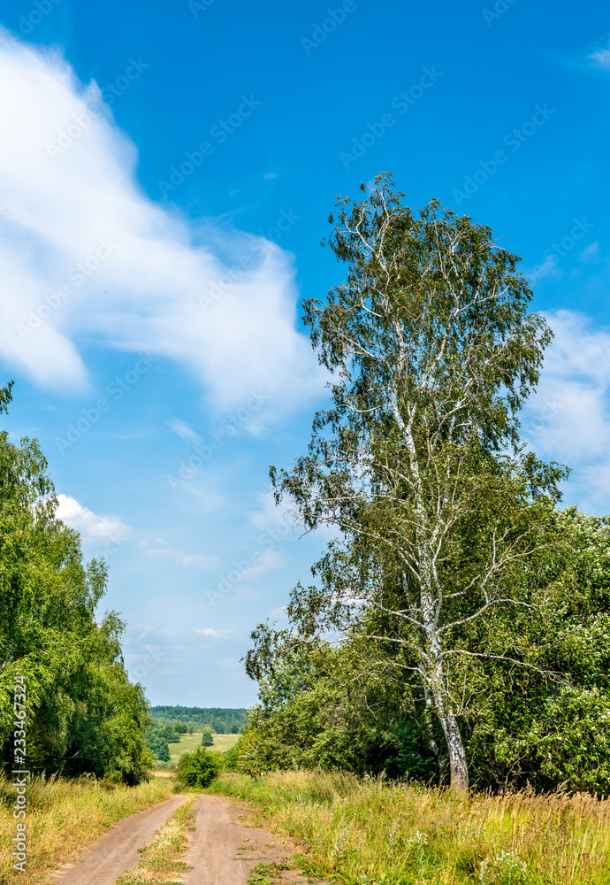 俄罗斯库尔斯克地区典型的乡村景观