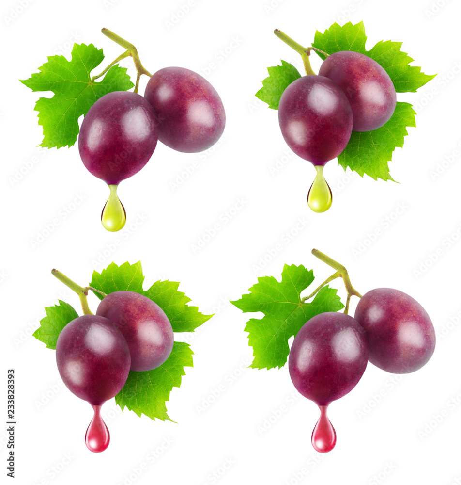 葡萄油和葡萄汁的独立概念图像。用j滴收集树枝上的红葡萄