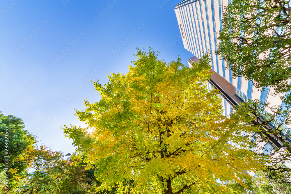 秋晴れの東京のビル群
