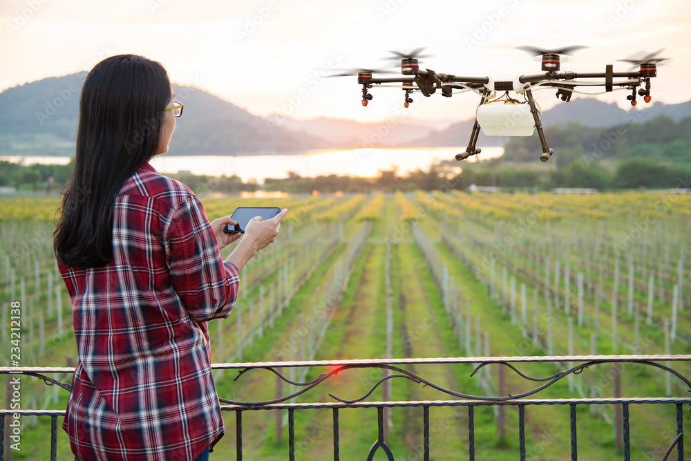 女农民用智能手机控制农业无人机在葡萄地施肥