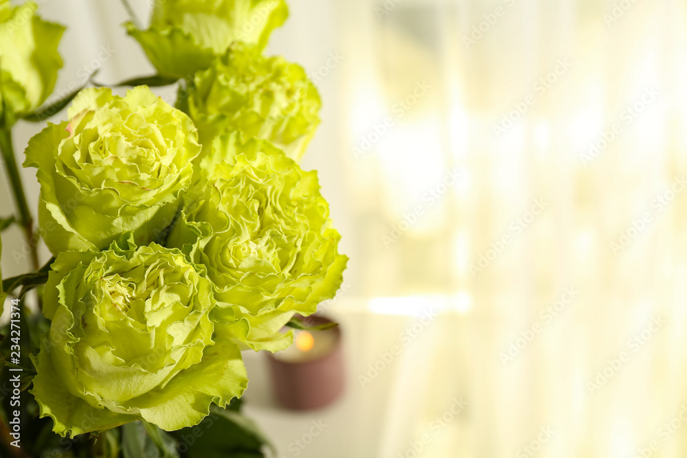 Beautiful bouquet of green roses, closeup