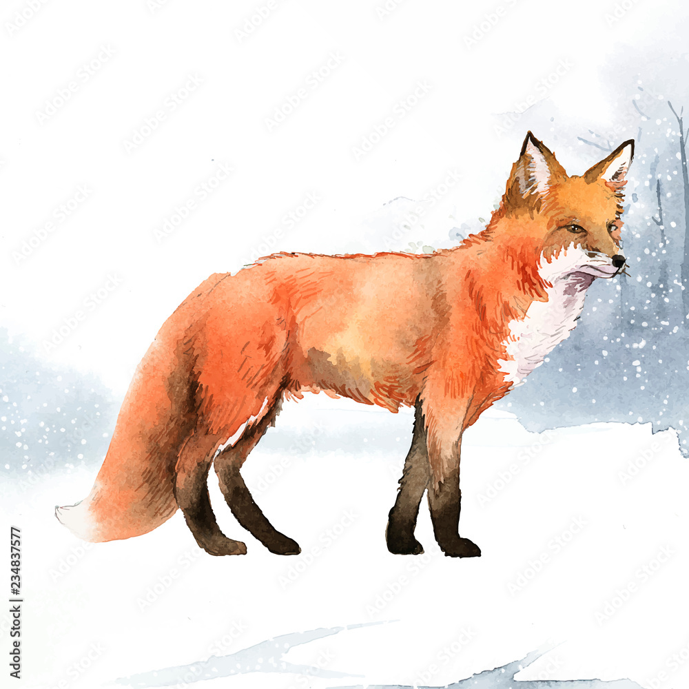 雪地水彩风格的手绘狐狸