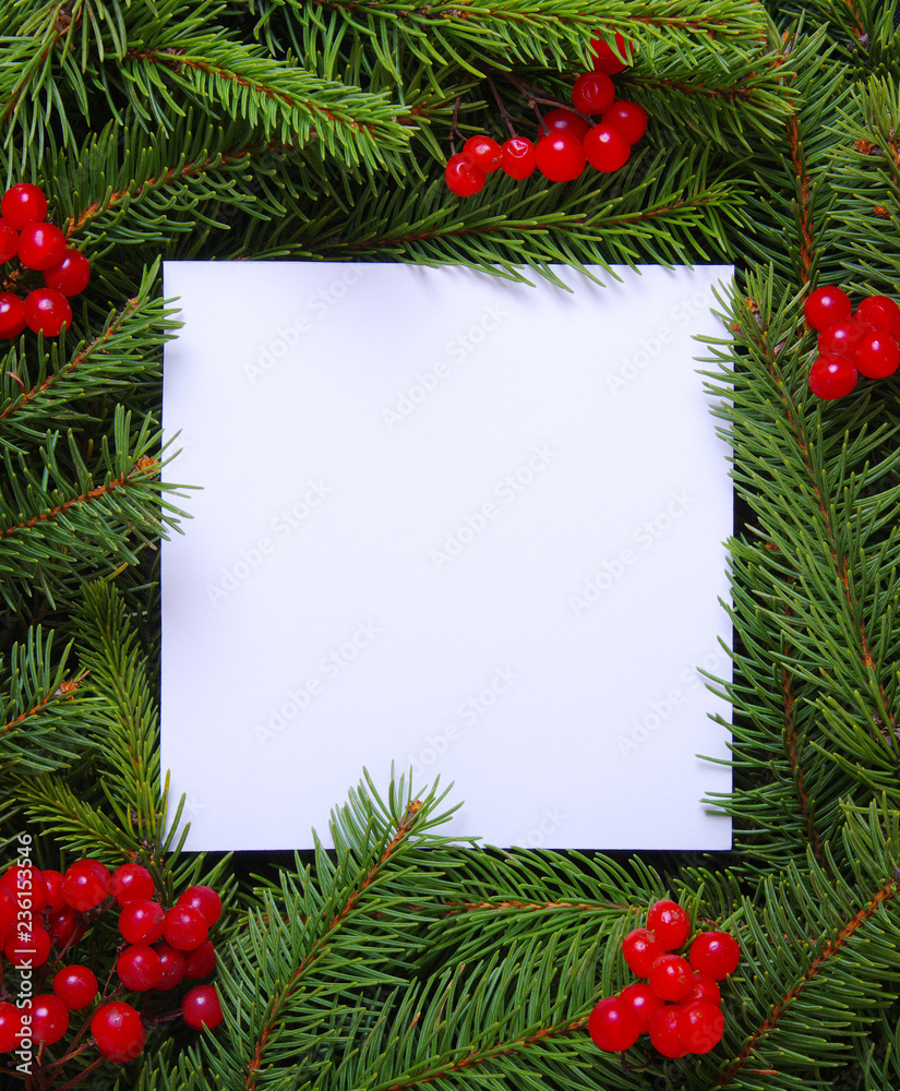 带纸质卡片的圣诞树枝。