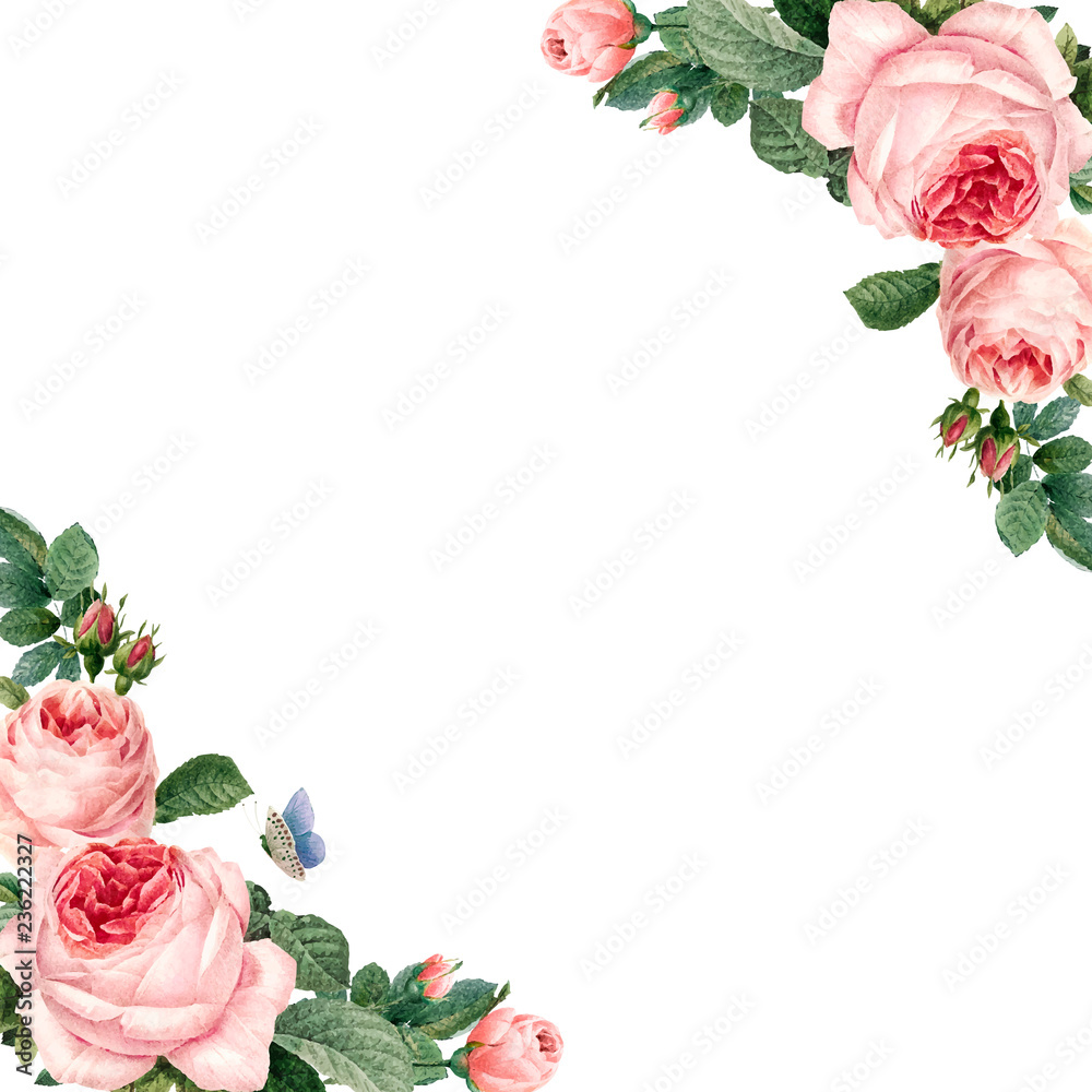 白色背景矢量上的手绘粉色玫瑰框架