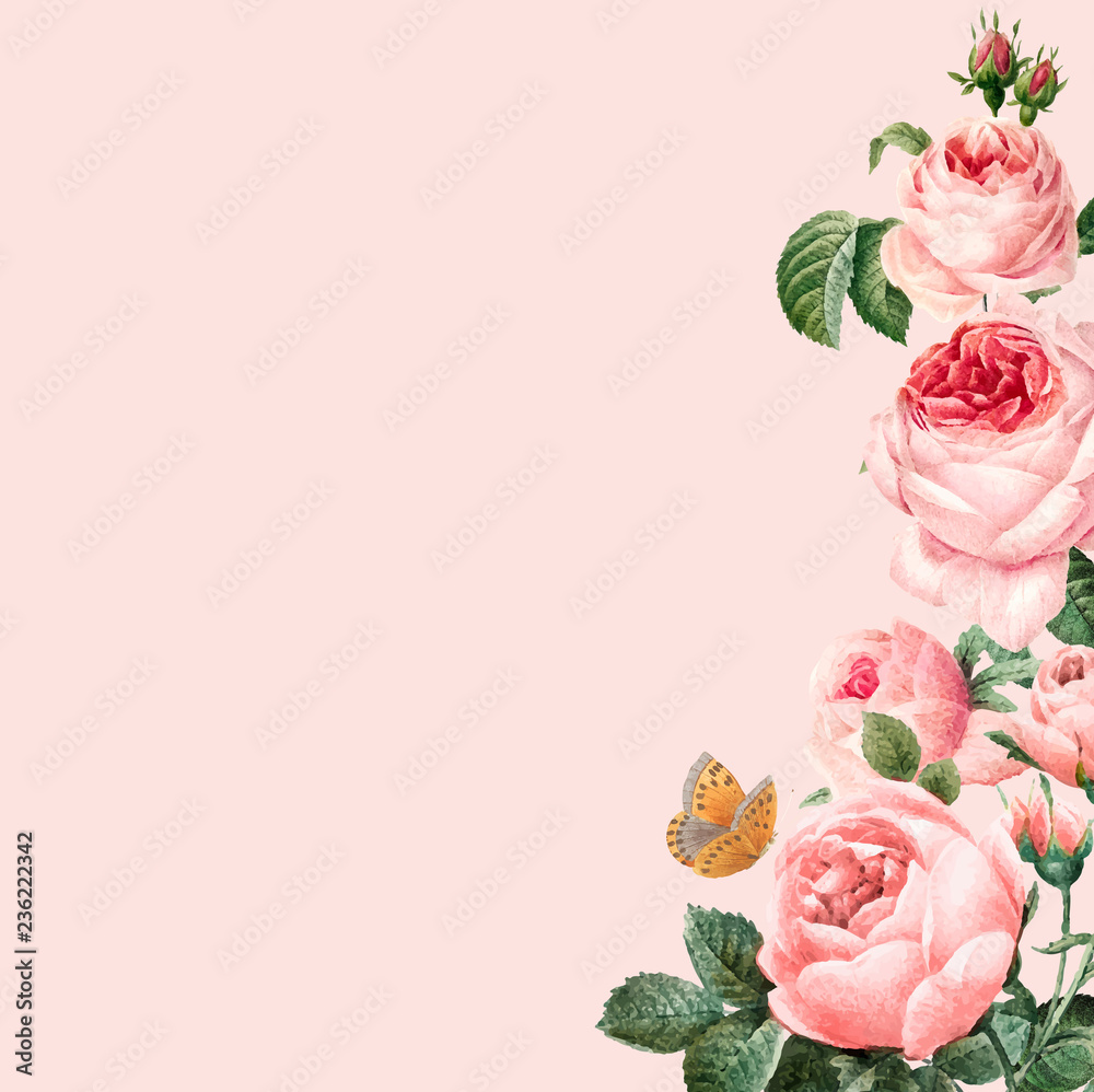 粉色背景矢量上的手绘粉色玫瑰框架