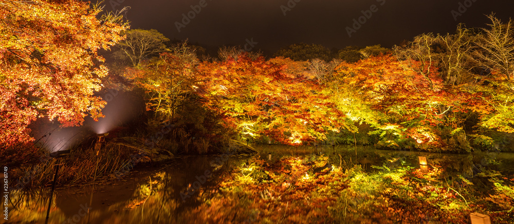 美丽的日本花园，名为Mifuneyama Rakuen，秋天的夜景，枫叶和湖泊