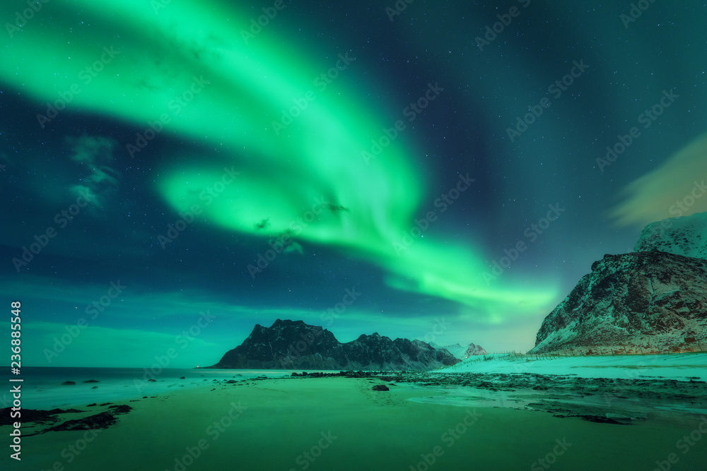 挪威罗弗敦群岛的北极光。绿色北极光。带极光的星空。获胜