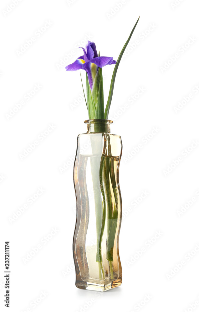 白底玻璃花瓶里的美丽花朵