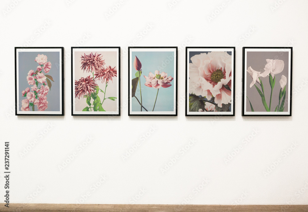 墙上的花卉艺术作品集