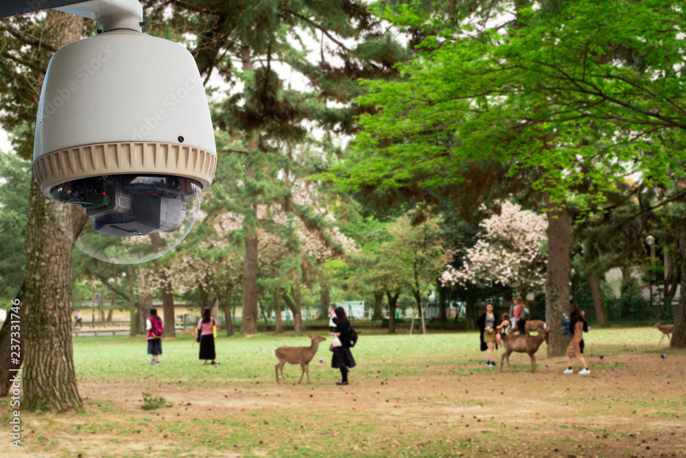 CCTV监控摄像机在日本公园运行