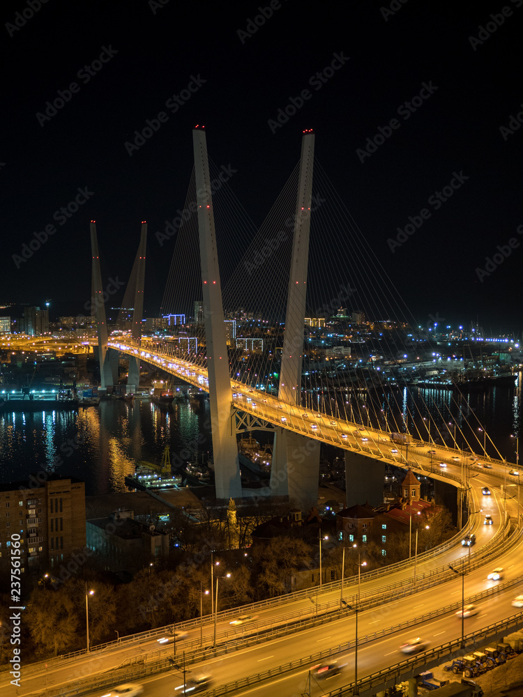 Zolotoy most或Golden Bridge，符拉迪沃斯托克，普里莫斯基地区，俄罗斯。夜城的灯光u