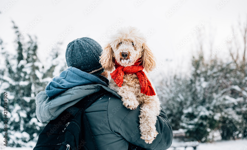 快乐的宠物和它的主人在寒假的雪地里玩得很开心。寒假的情感。男人