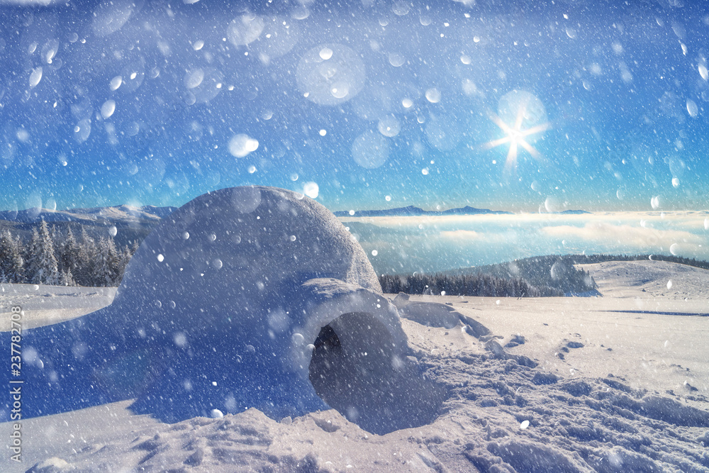 喀尔巴阡山脉冬季的真正雪屋。背景是白雪覆盖的冷杉。克里斯