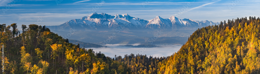 波兰黄色秋季山毛榉林上的塔特拉山脉晨间全景