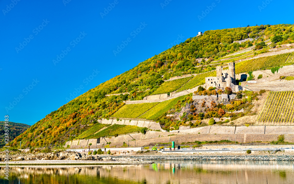 秋天的埃伦费尔斯城堡和葡萄园。德国莱茵河峡谷