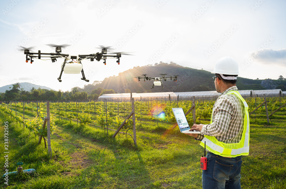 农民技术员使用无线网络计算机控制农业无人机在葡萄地施肥