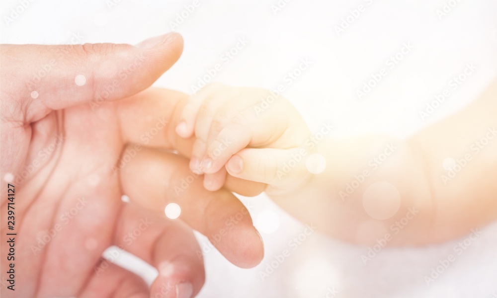 新生婴儿手牵着白底kuman的手