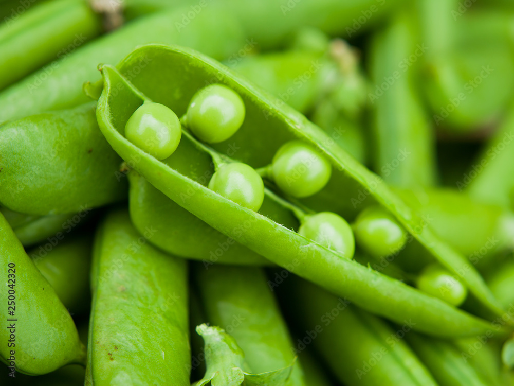 绿色豌豆宏-来自graden的有机食品。