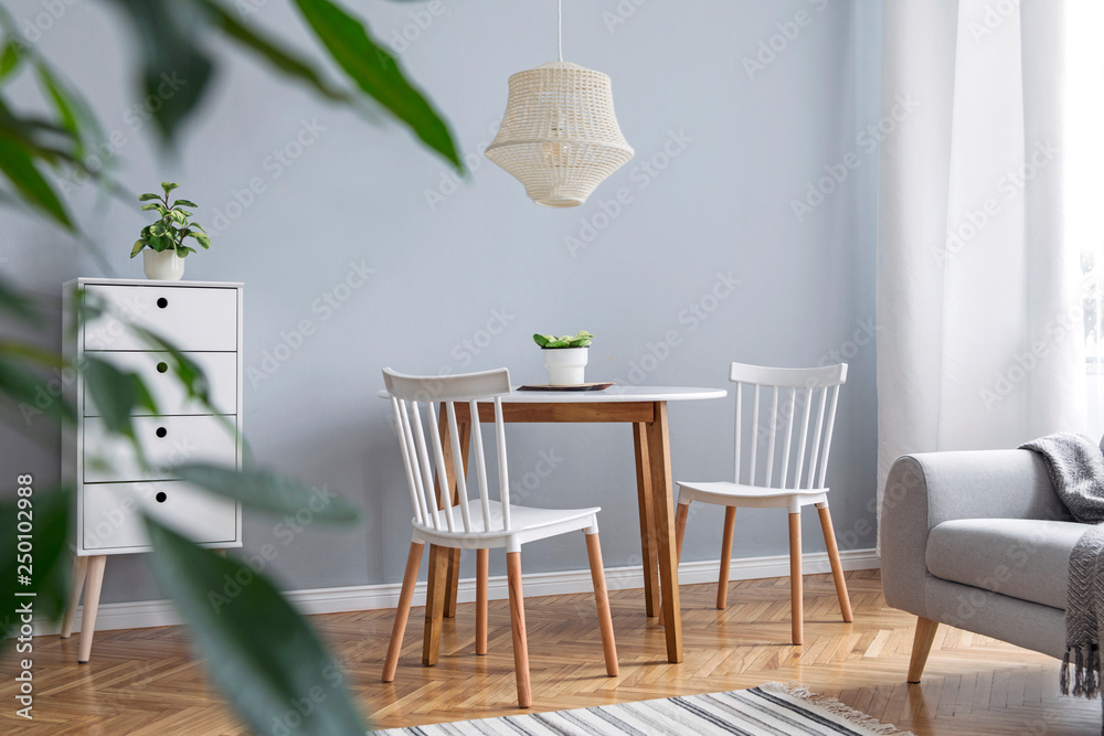 现代北欧风格的客厅装饰，配有设计家具、家庭餐桌、沙发和植物棕色