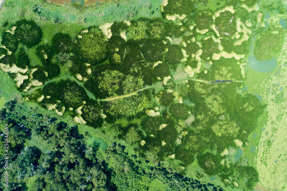 鸟瞰无人机拍摄巴茨绿色森林和湖泊美丽荒野自然风光俯视图