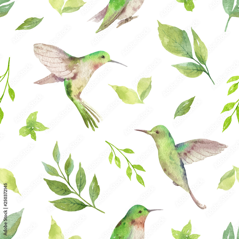 水彩矢量无缝图案，白色背景上有蜂鸟和绿色树枝。