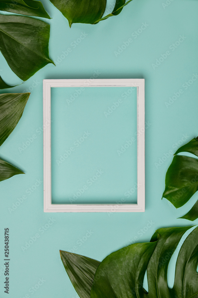 带热带植物和白色框架的创意平面布局，适合您的文本