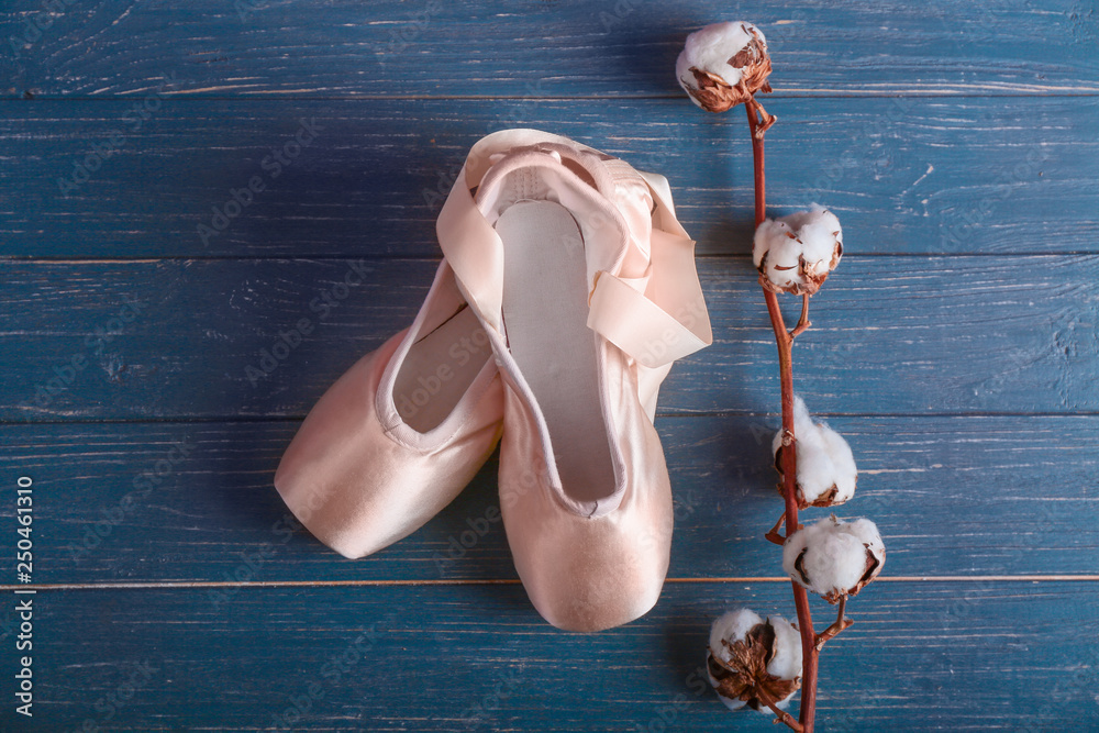 芭蕾舞鞋视图