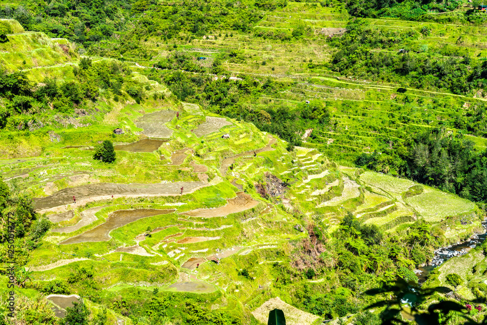 Banaue Rice Terraces-吕宋岛北部，联合国教科文组织菲律宾世界遗产。