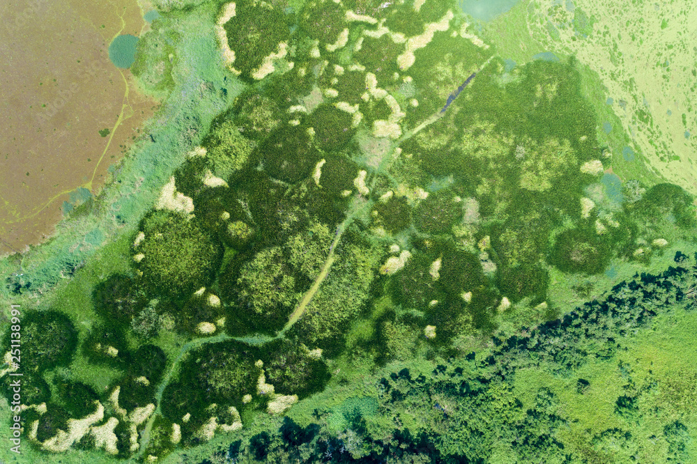 鸟瞰无人机拍摄巴茨绿色森林和湖泊美丽的荒野自然风光