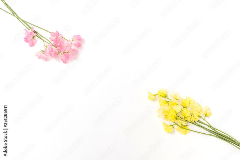 春のお花　Flower frame of spring