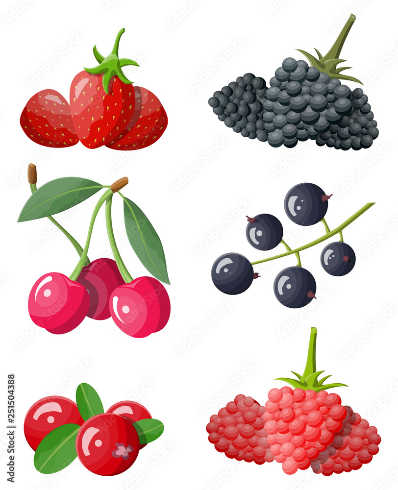 浆果图标套装。蔓越莓、黑加仑子、浆果、蓝莓、红加仑子、覆盆子、草莓a