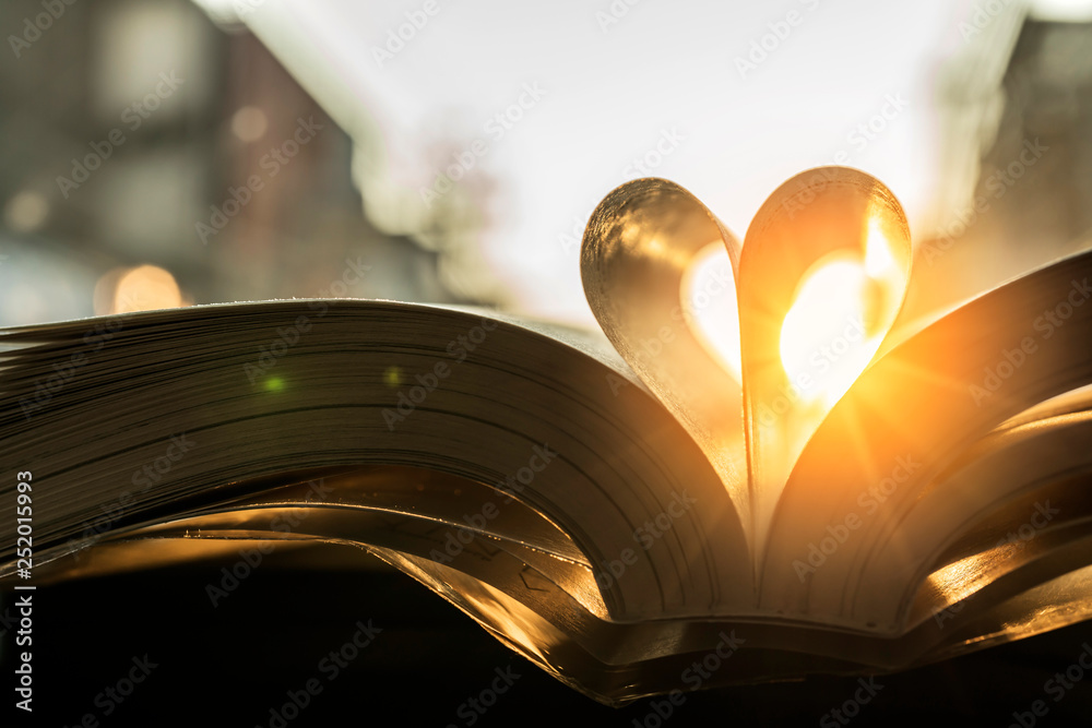 心形纸质书籍折叠带日落闪光爱情理念