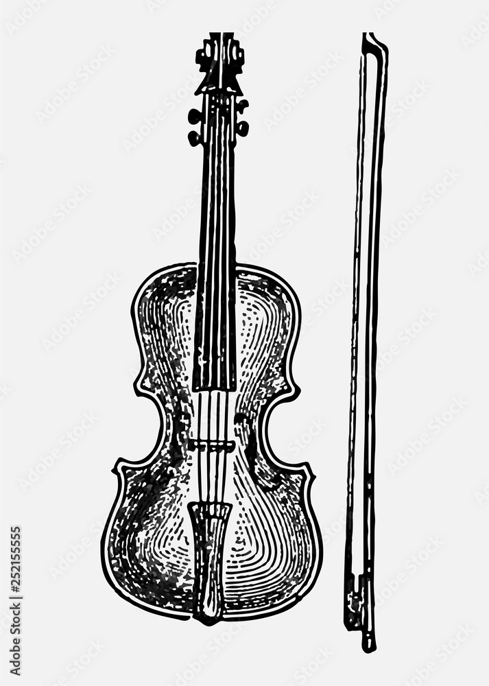 复古小提琴插图