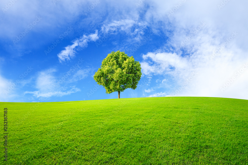 Green tree and grass field with white clouds