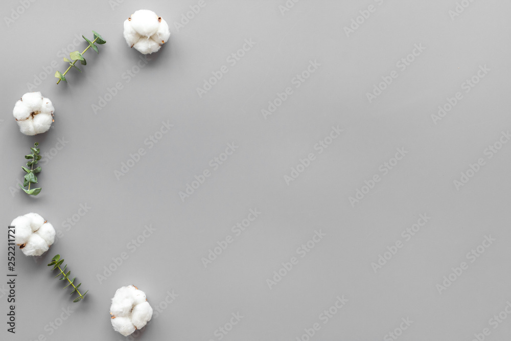灰色背景上的花朵与绿色桉树树枝和干燥的棉花花朵接壤俯视图