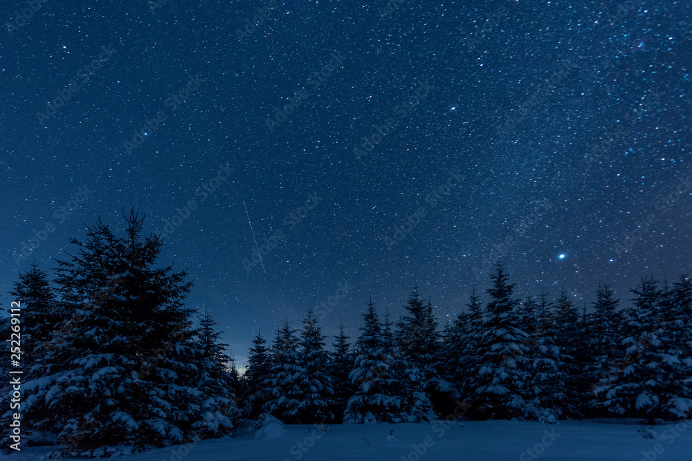 夜晚喀尔巴阡山脉冬季森林中充满闪亮星星的黑暗天空